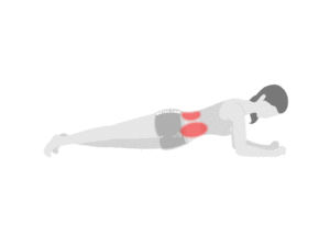 効く部位：お腹・くびれ