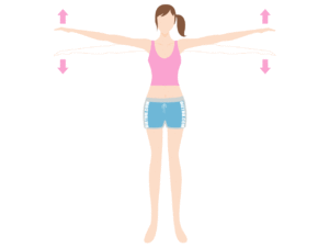 二の腕痩せの運動「二の腕パルス（上下）」