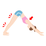 ふくらはぎ痩せと裏もも痩せのダイエット運動「ダウンドッグ・ポーズ」