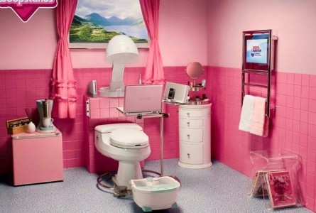 ピンクのトイレ