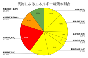 代謝によるエネルギー消費の割合（基礎代謝+活動代謝+DIT）
