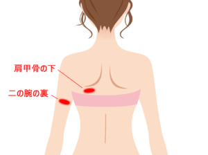 皮下脂肪厚を計測する箇所
