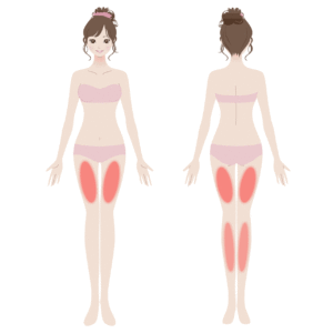 効く部位「太もも、ふくらはぎ」