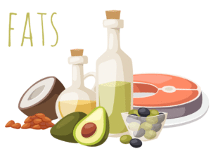 脂質はダイエットに必要な栄養素